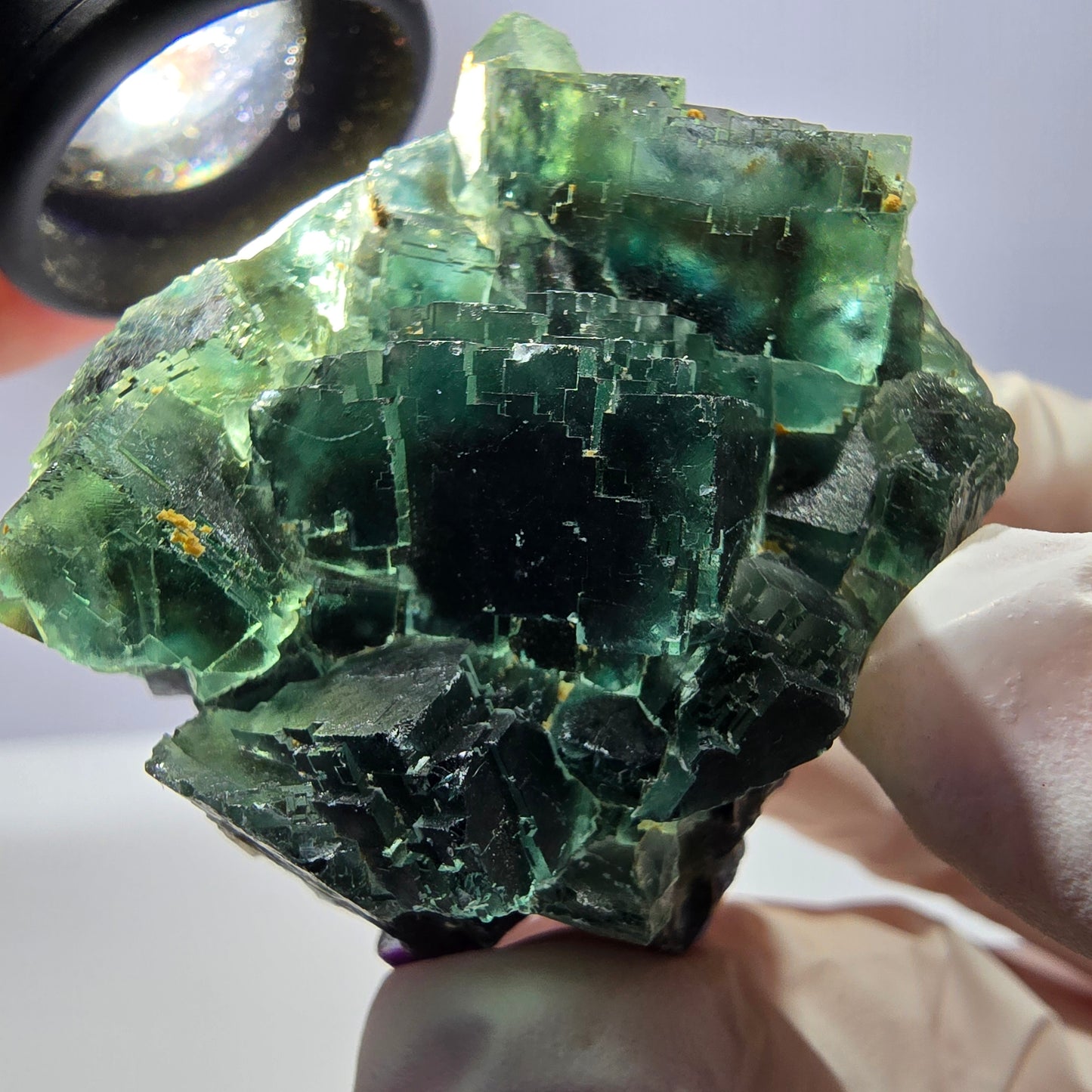 Spécimen de cube de fluorite fantôme parqueté vert violet Okorusu, Namibie 42*38*24mm
