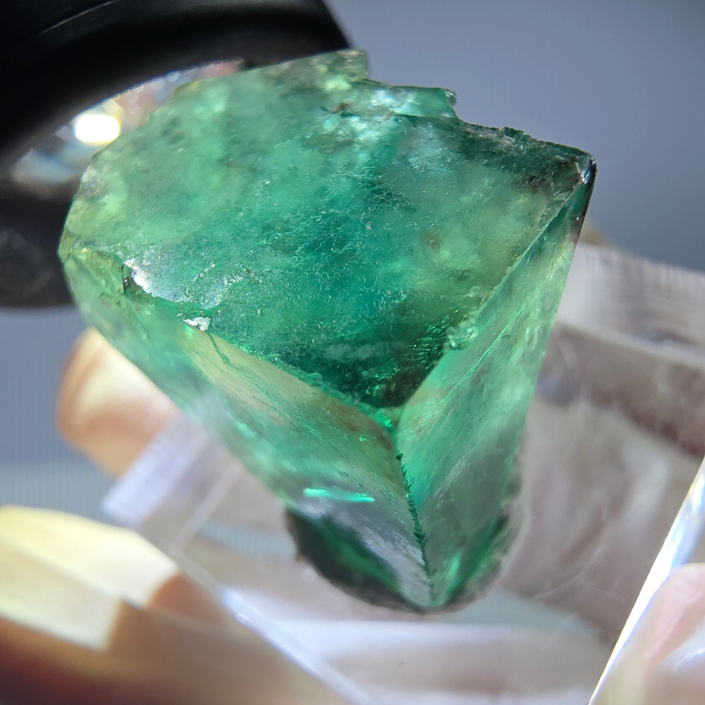 Rare cube de fluorite fantôme parqueté vert Okorusu, Namibie 21*18*12mm