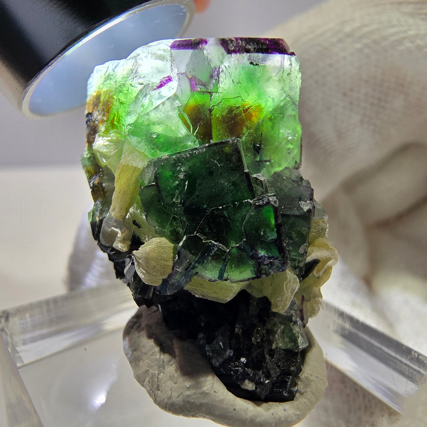Cube de fluorite fantôme zonal, tourmaline muscovite Schörl Erongo Namibie 31*22*18mm