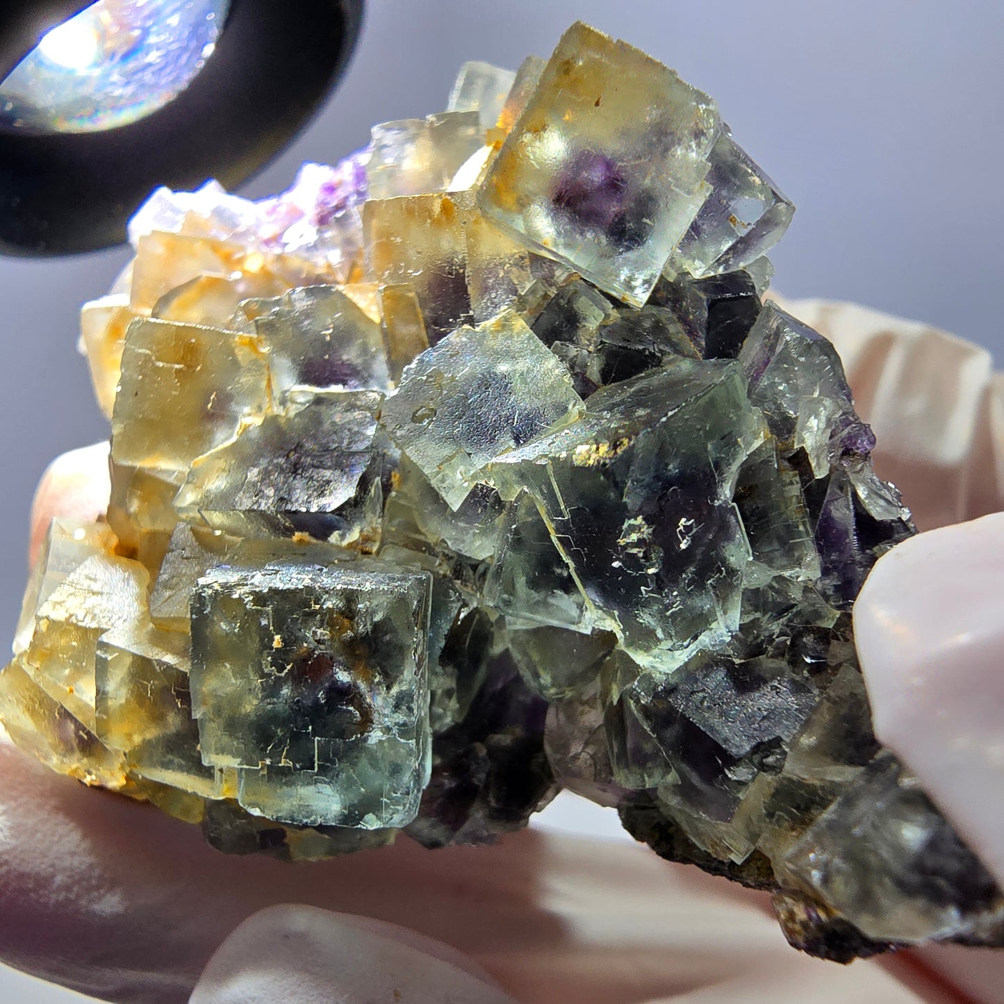 Spécimen de cube de fluorite fantôme transparente, vert-violet, Okorusu, Namibie, 54 x 41 x 22 mm