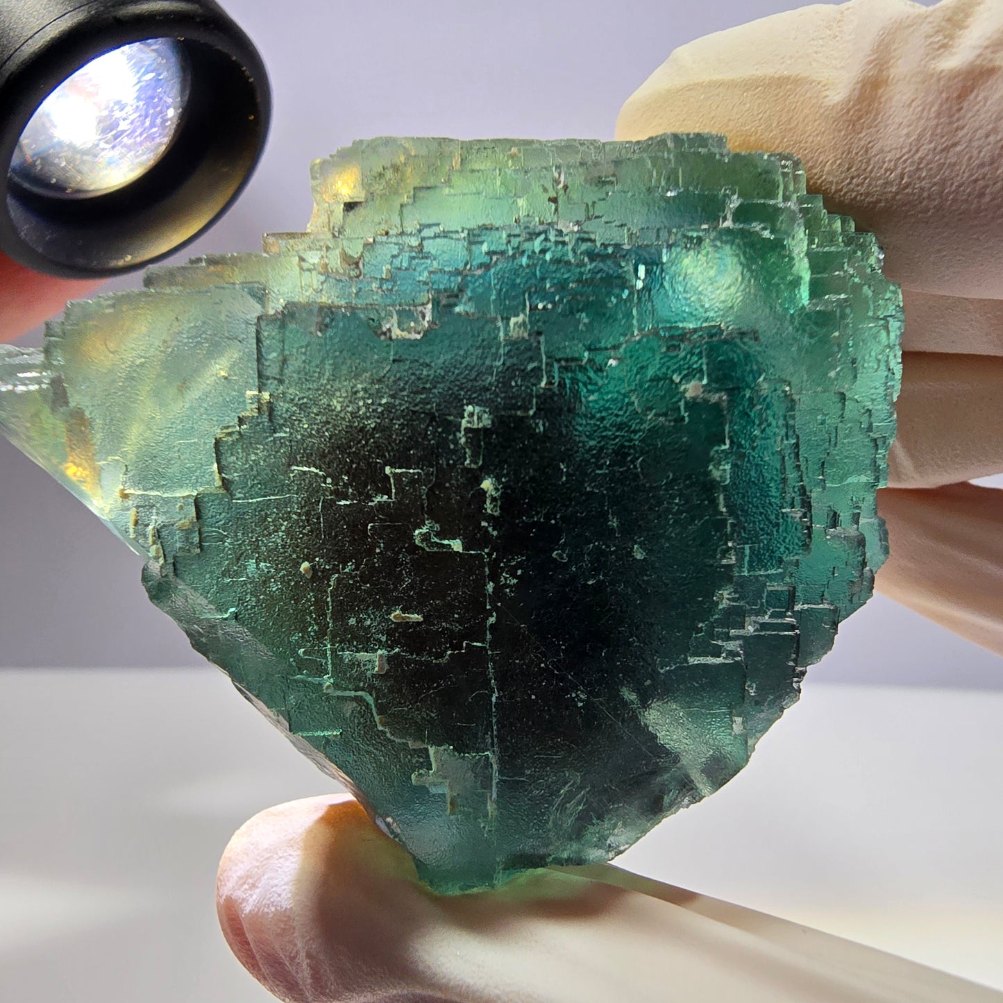 Spécimen de cube de fluorite fantôme transparente, vert parqueté, Okorusu, Namibie, 65 x 46 x 28 mm