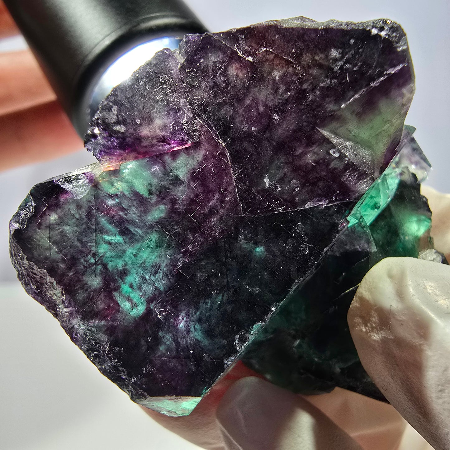 Spécimen de cube de fluorite fantôme, parqueté vert violet Okorusu, Namibie 58*40*27 mm
