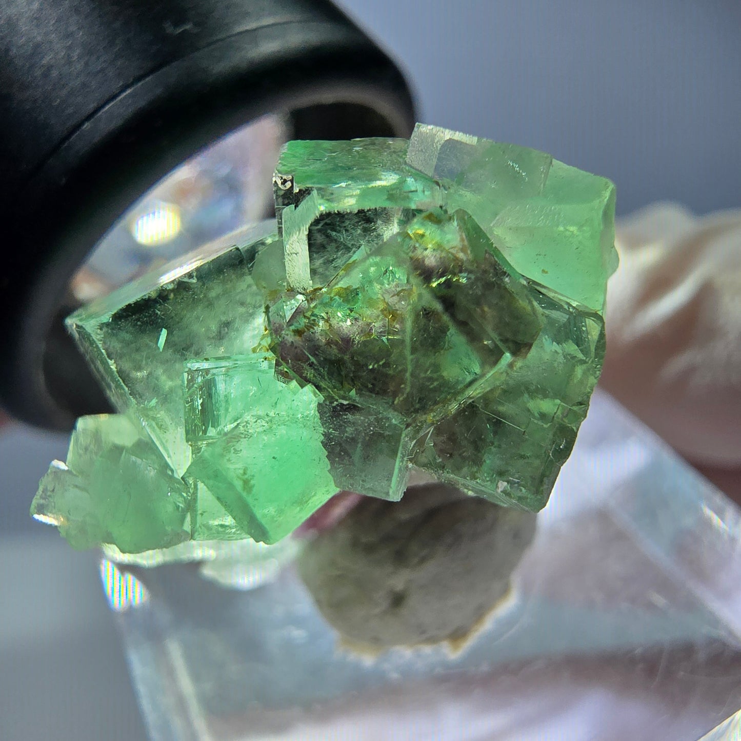 Spécimen de cube de fluorite fantôme, vert violet, Okorusu, Namibie, 25 x 24 x 15 mm