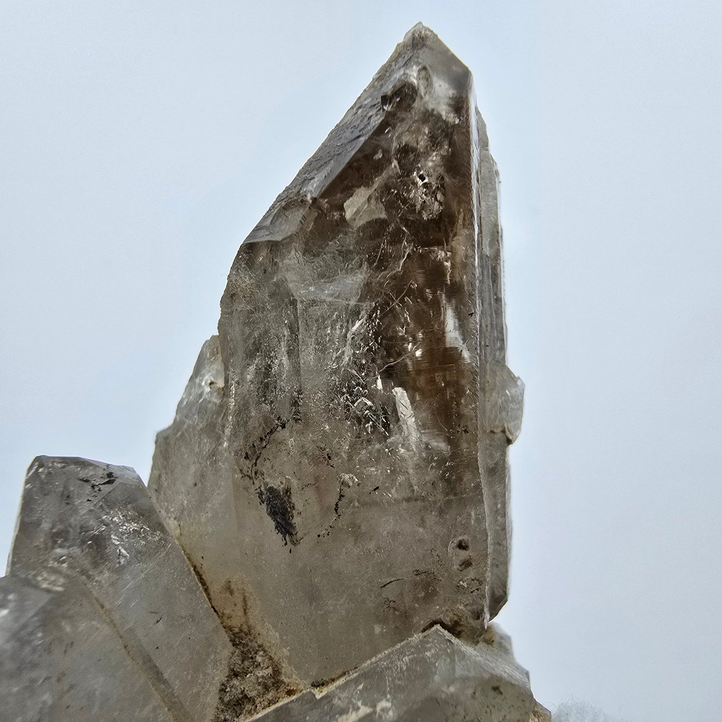 Enhydro Phantom Rauchquarz Zepter Stufe, 2x Blase Goboboseb, Namibia 78*41*53mm