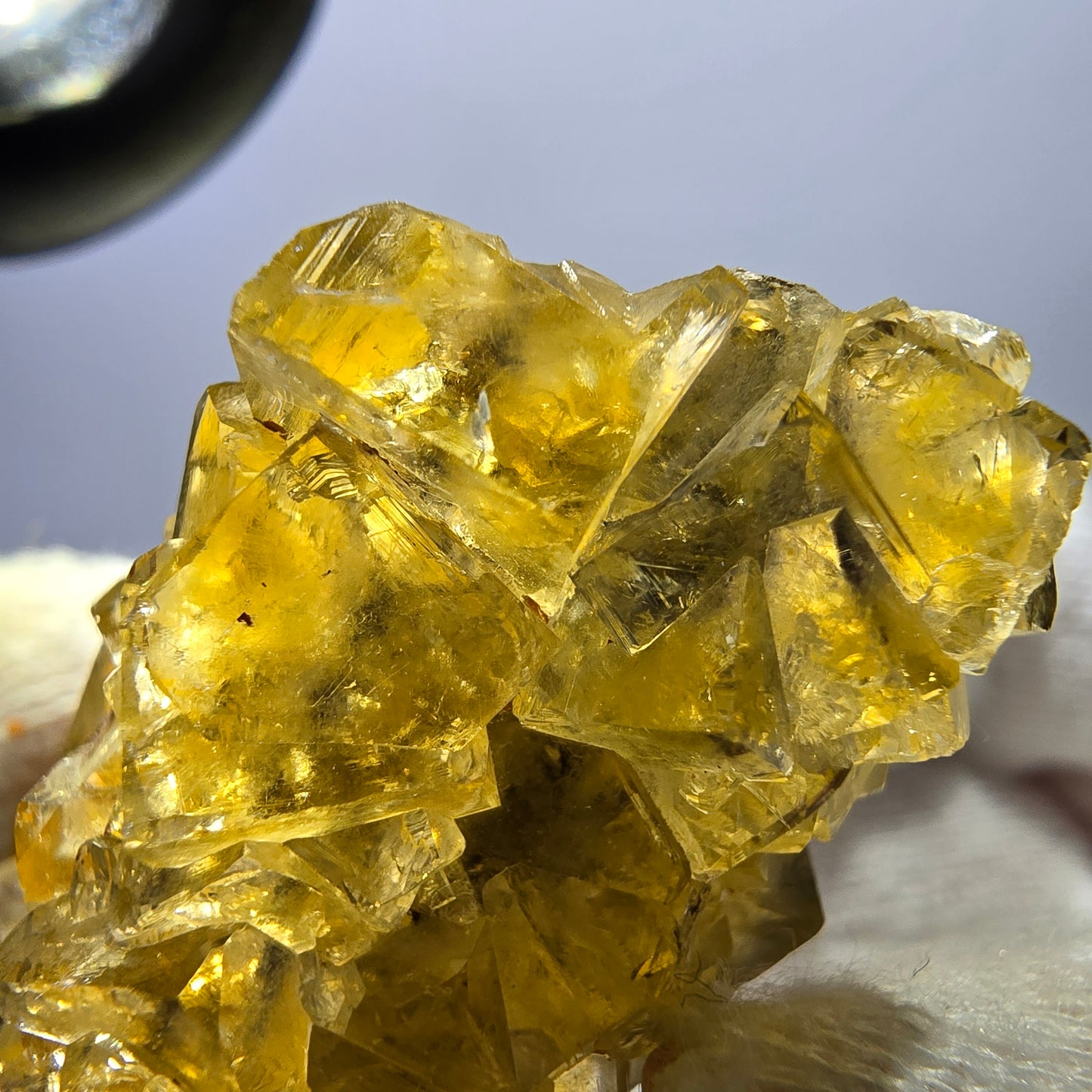 Spécimen de cube de fluorite fantôme, poche jaune miel, Okorusu, Namibie, 44 x 30 x 25 mm