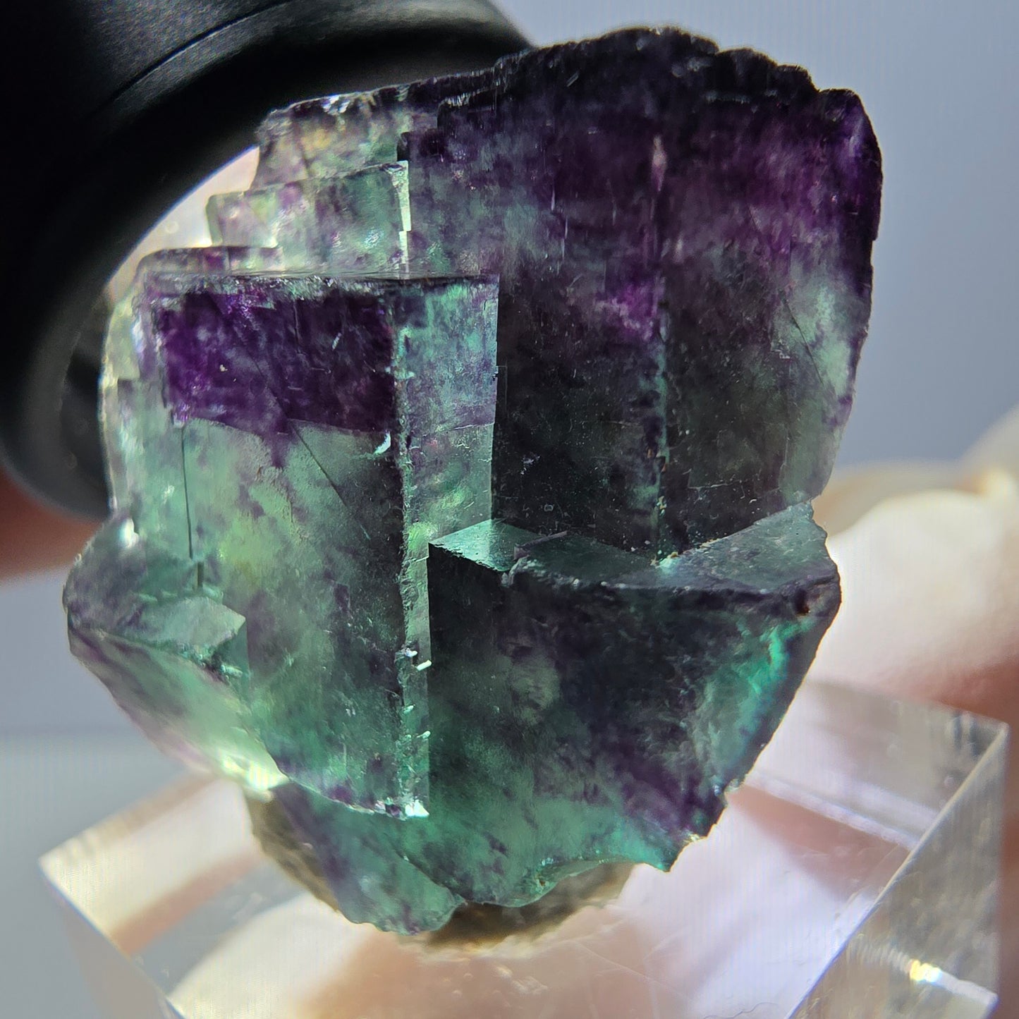 Phantom Fluorit Würfel Stufe, parkettiert grün lila Okorusu, Namibia 33*25*19mm