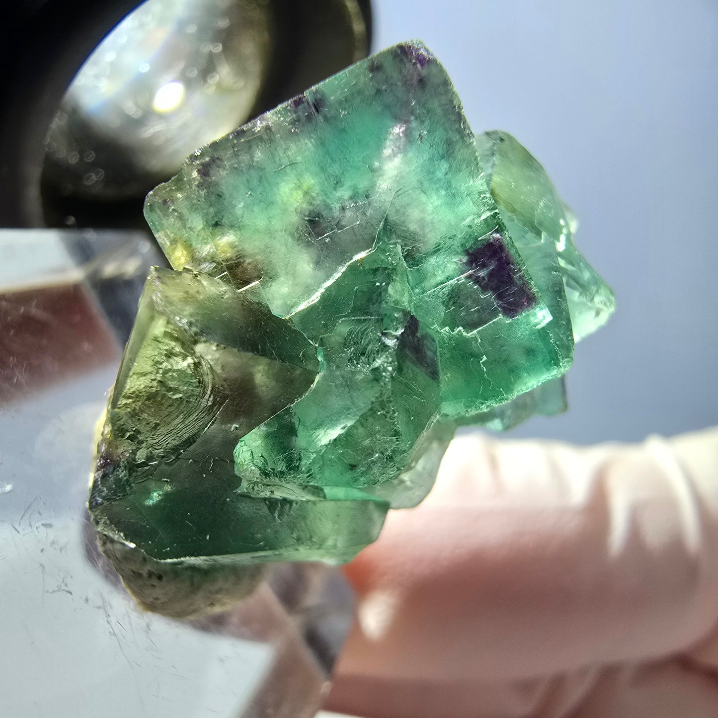 Spécimen de cube de fluorite fantôme, parqueté vert violet Okorusu, Namibie 25*21*14 mm