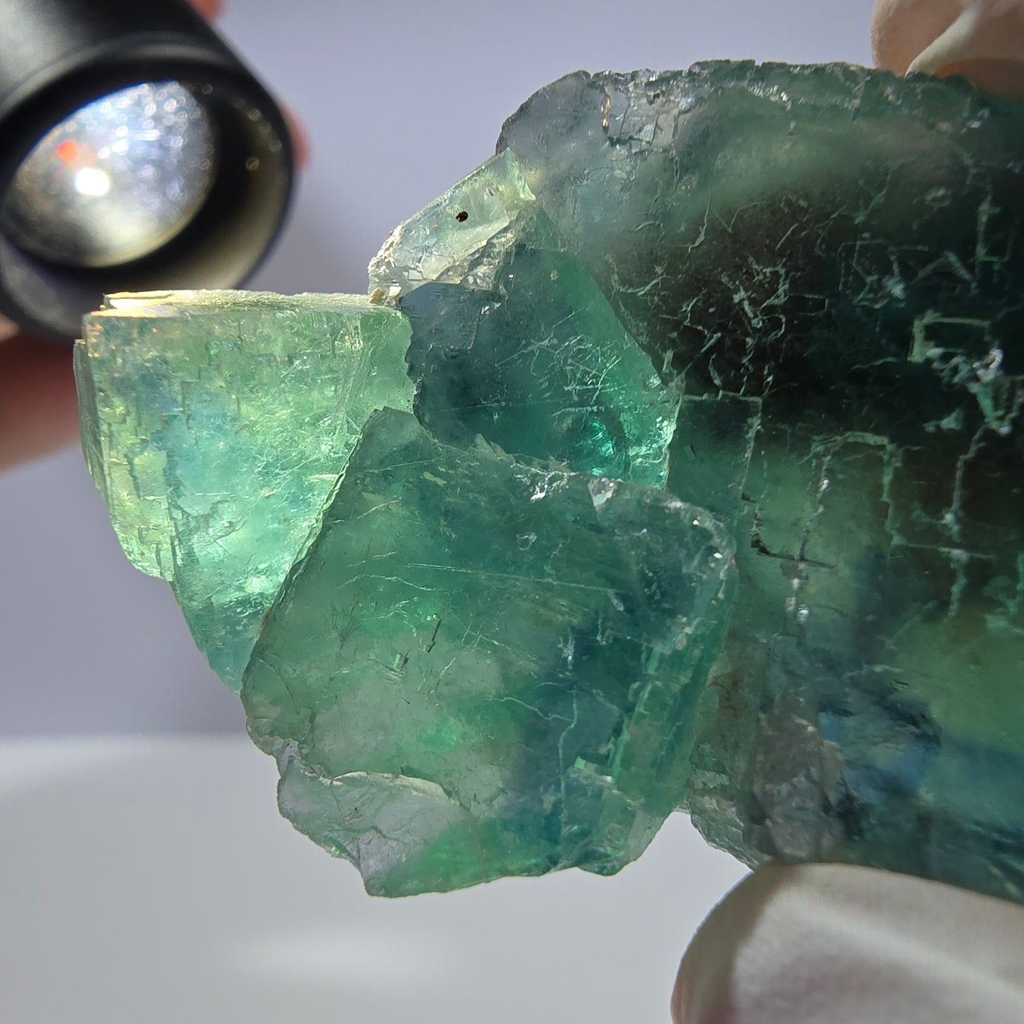 Spécimen de cube de fluorite fantôme transparente, vert parqueté, Okorusu, Namibie, 53 x 33 x 22 mm