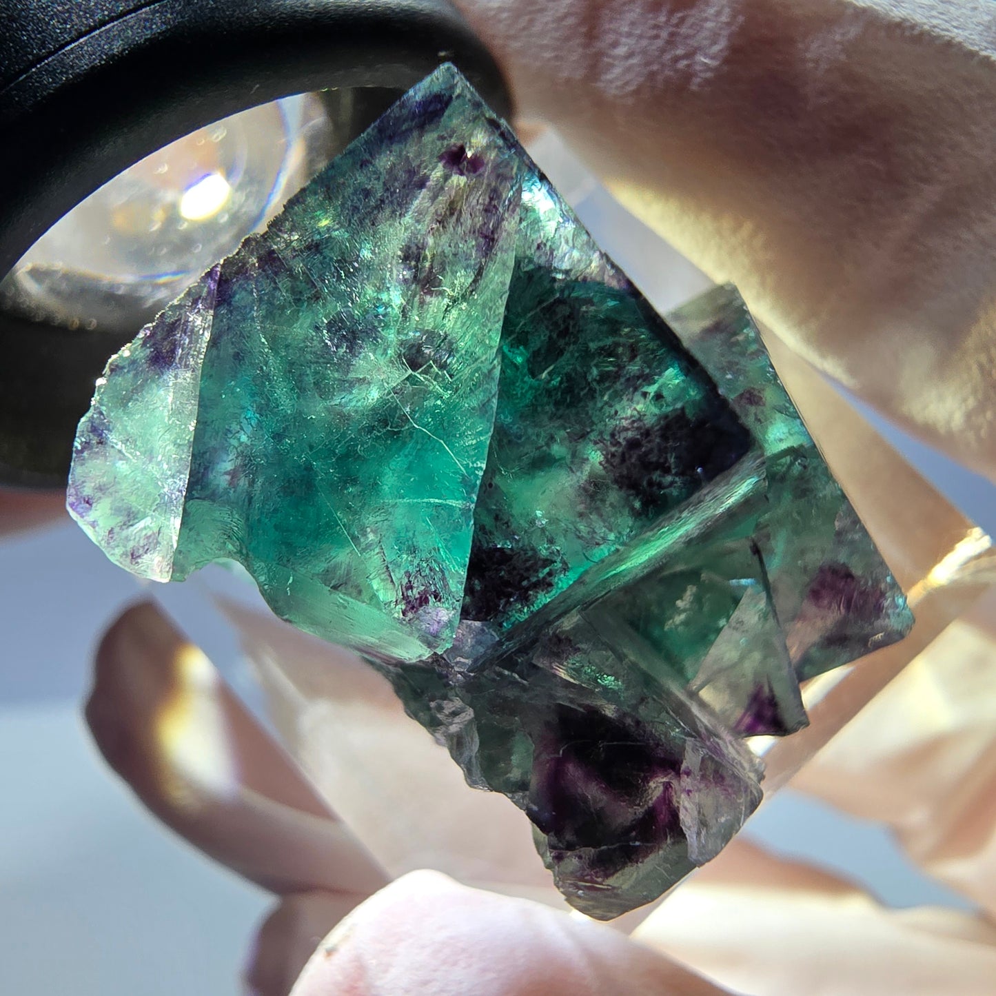 Spécimen de cube de fluorite fantôme, parqueté vert violet Okorusu, Namibie 31*25*20 mm