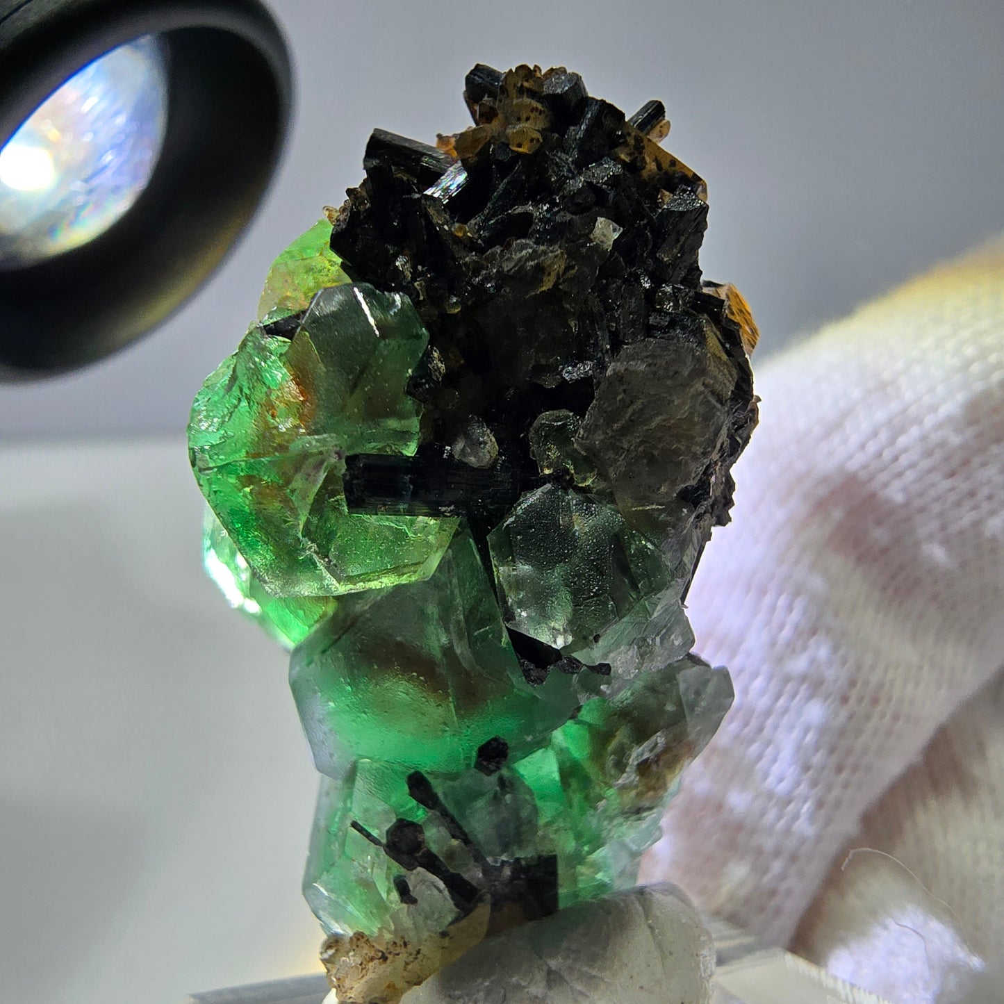 Fluorite fantôme hexagonale Schörl Tourmaline Quartz fumé Hyalite Erongo, Namibie 39*25*22mm