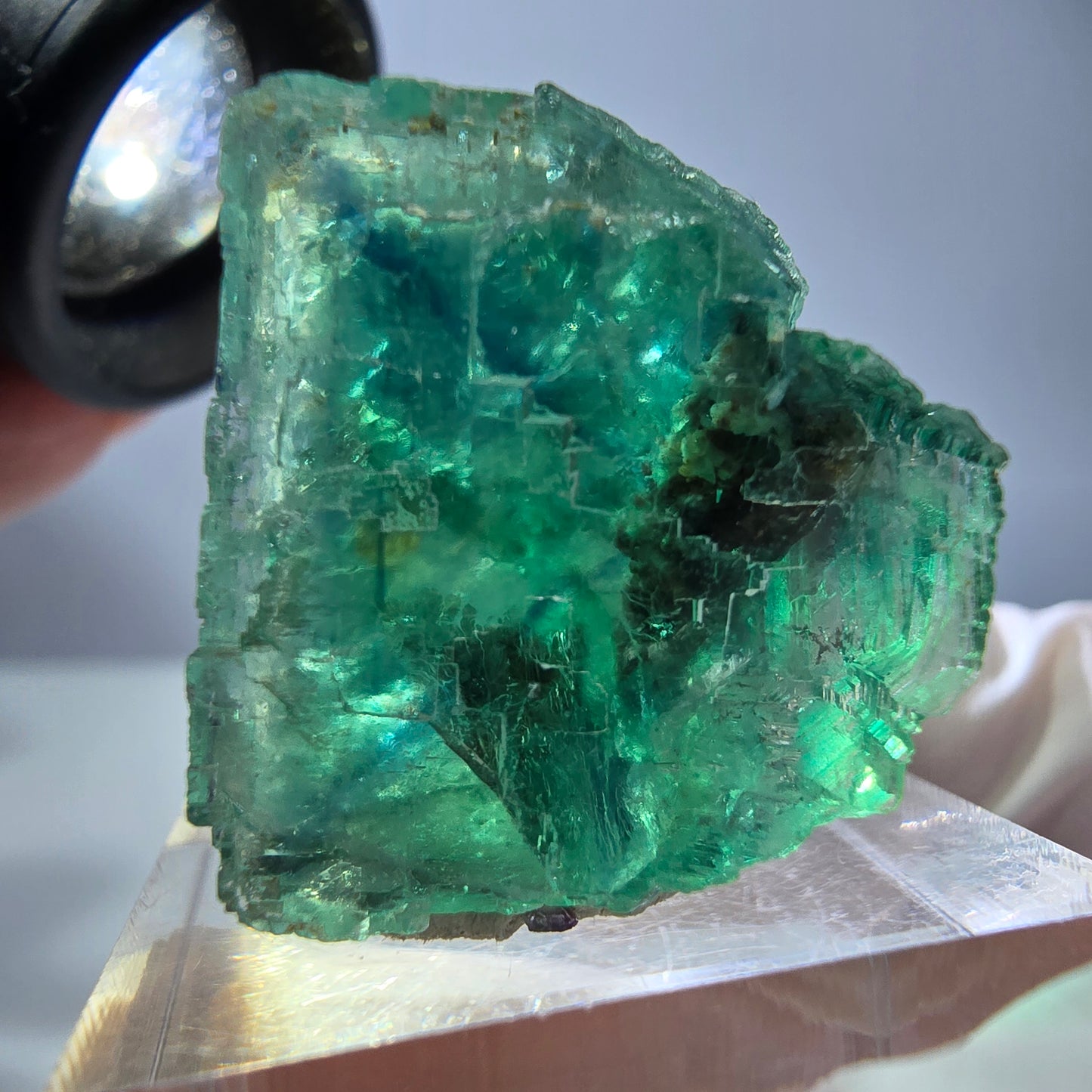 Cube de fluorite fantôme transparente parquetée, vert Okorusu, Namibie 23*23*22mm