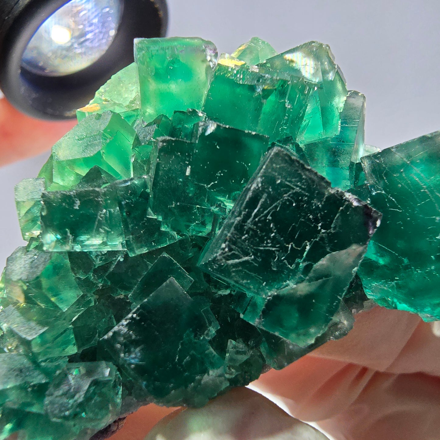 Rare spécimen de cube de fluorite fantôme, parqueté vert Okorusu, Namibie, 62 x 32 x 26 mm