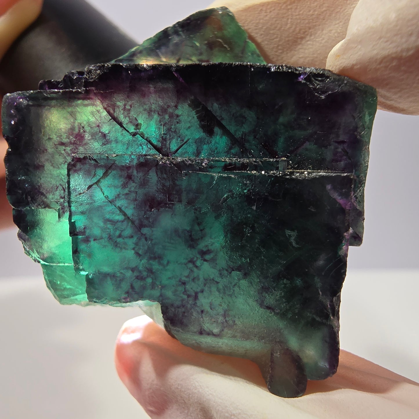 Spécimen de cube de fluorite fantôme, parqueté vert violet Okorusu, Namibie 41*41*25 mm