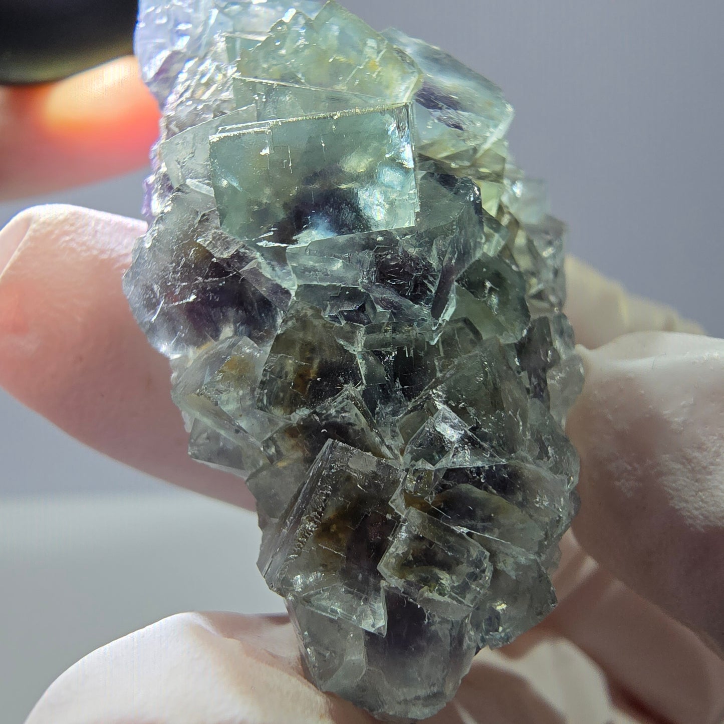 Spécimen de cube de fluorite fantôme transparente, vert-violet, Okorusu, Namibie, 45 x 35 x 19 mm