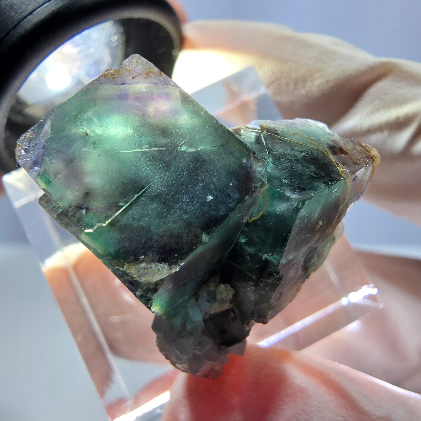 Spécimen de cube de fluorite fantôme, parqueté vert violet Okorusu, Namibie 25*24*16 mm