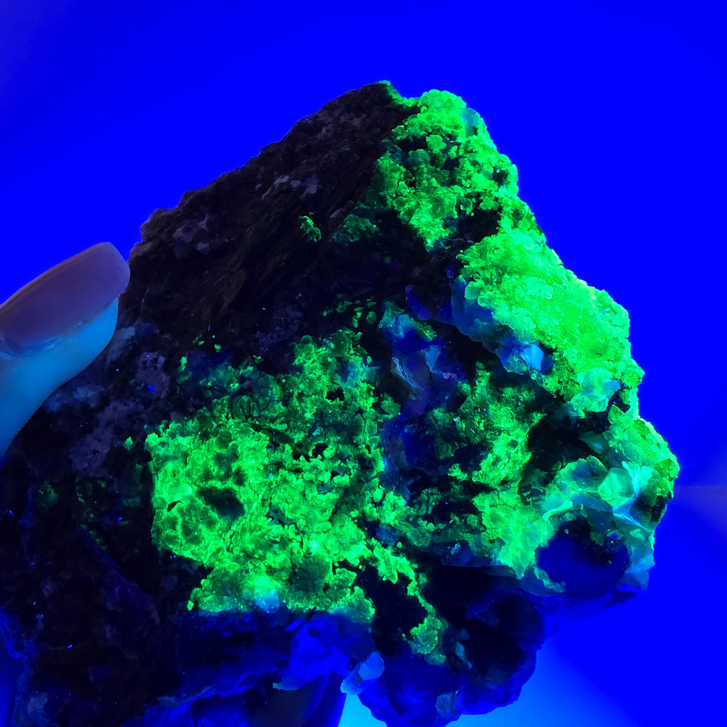 Grande fluorite fantôme, tourmaline schol, hyalite, muscovite, quartz fumé, Erongo, Namibie, 93 x 74 x 24 mm