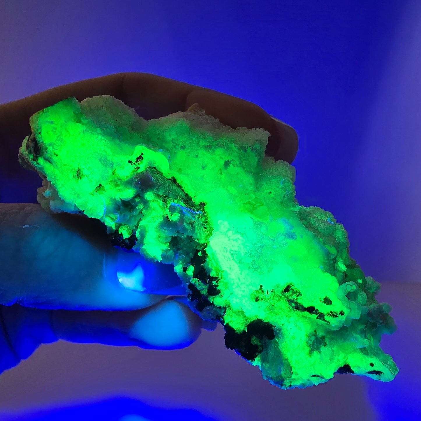 Spécimen rare d'opale hyalite (minéral UV) de tourmaline Schorl, Erongo, Namibie, 64 x 50 x 36 mm