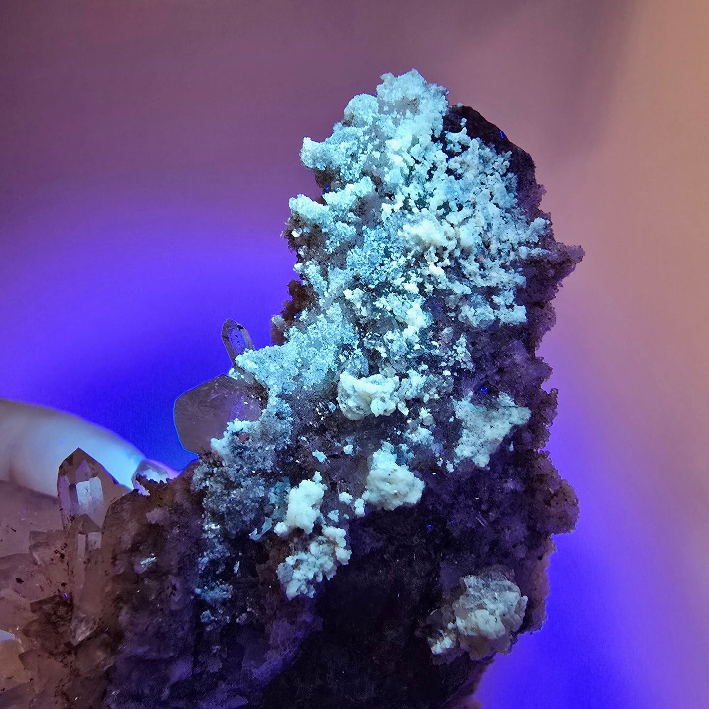 Quartz fumé Harlequin, spécimen de calcite UV, poche Valentine Goboboseb, Namibie, 79 x 63 x 34 mm