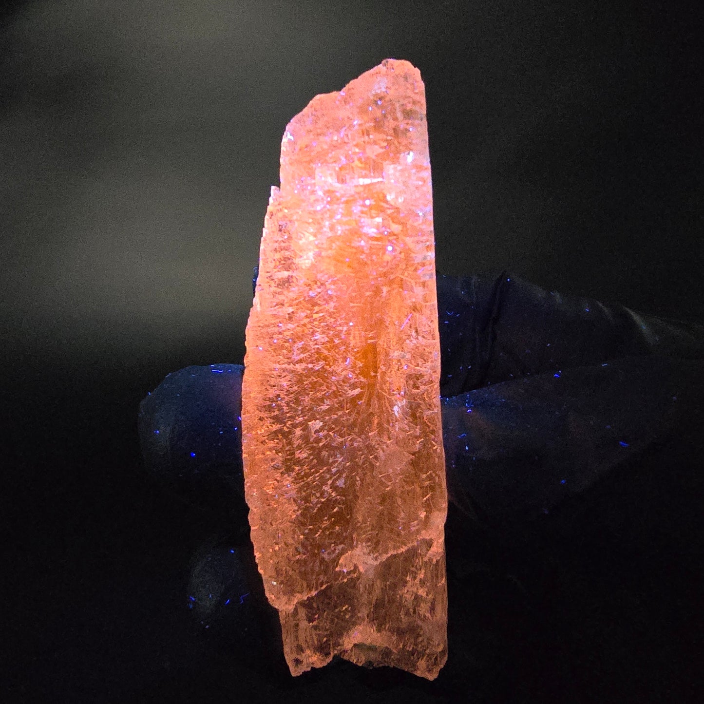 Seltener Kunzit Spodumen Kristall weiß UV Mineral 73*22*13mm Brasilien Sammlung