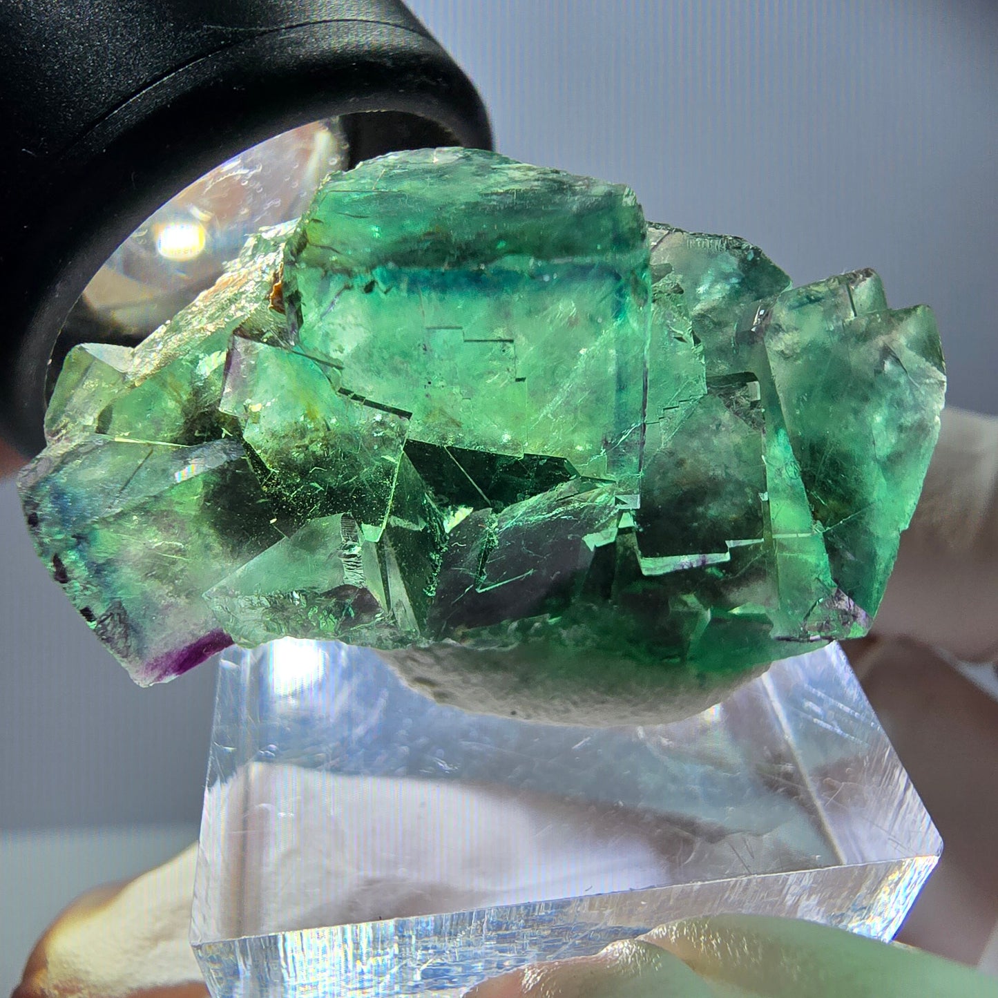 Rare spécimen de cube de fluorite, vert-violet, Okorusu, Namibie, 37 x 21 x 18 mm
