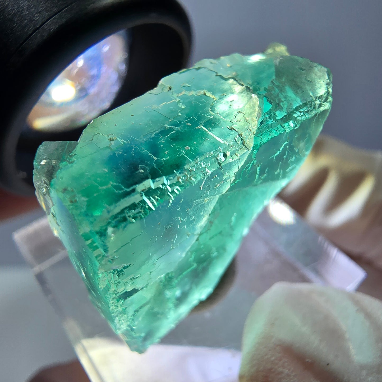 Cube de fluorite fantôme transparente parquetée, vert Okorusu, Namibie 28 x 21 x 10 mm