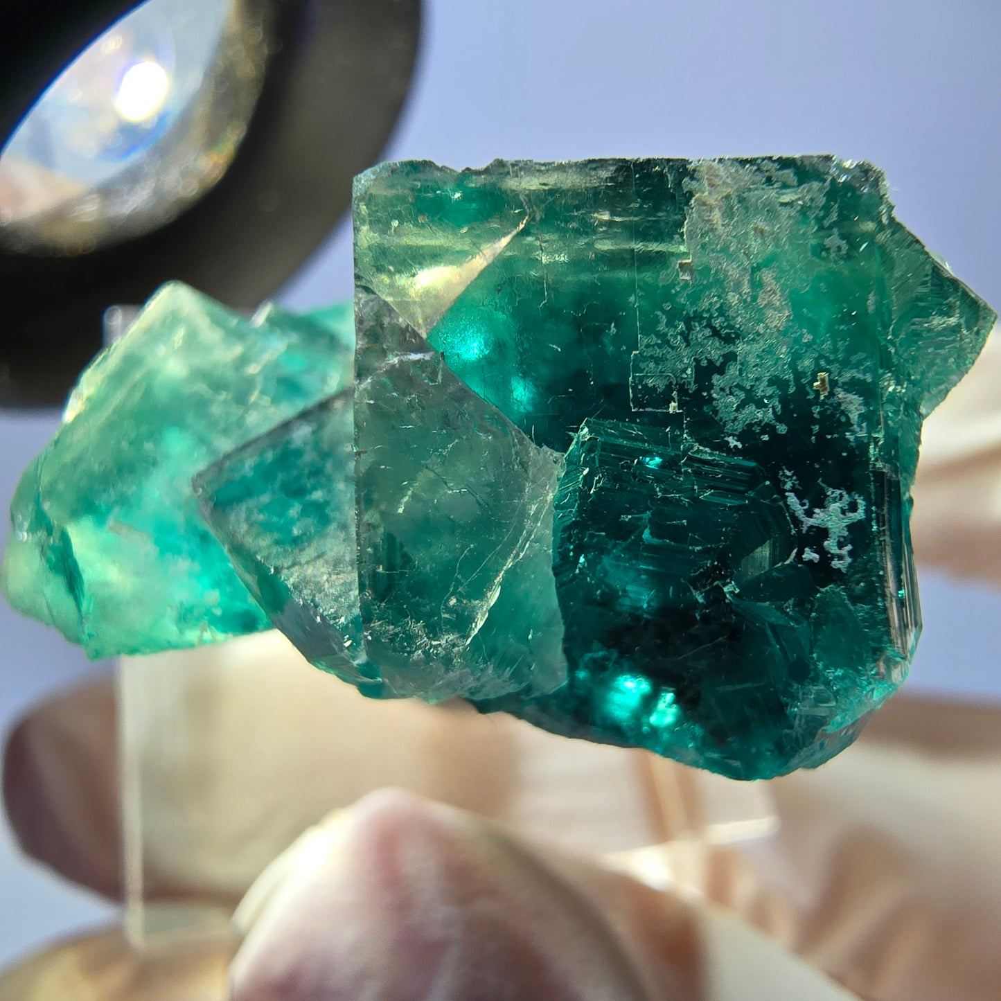 Rare spécimen de cube de fluorite fantôme, vert Okorusu, Namibie 32 x 29 x 17 mm
