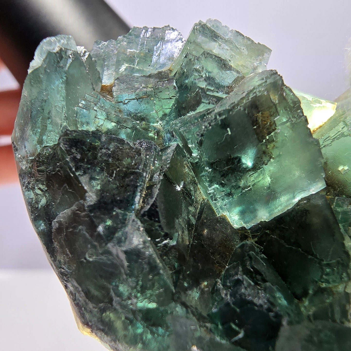 Rare spécimen de cube de fluorite fantôme, parqueté vert Okorusu, Namibie, 43 x 39 x 20 mm