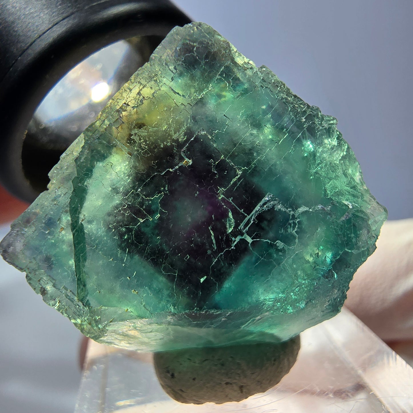 Cristal de fluorite fantôme transparent, cube vert-violet, Okorusu, Namibie, 24 x 24 x 20 mm