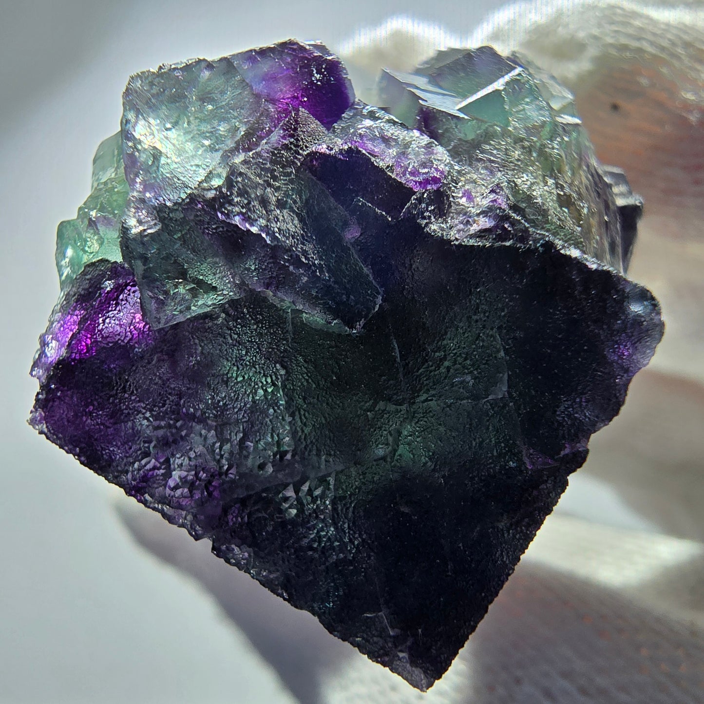 Spécimen rare de cube de fluorite fantôme, vert zonal et violet, Okorusu, Namibie, 38 x 30 x 24 mm