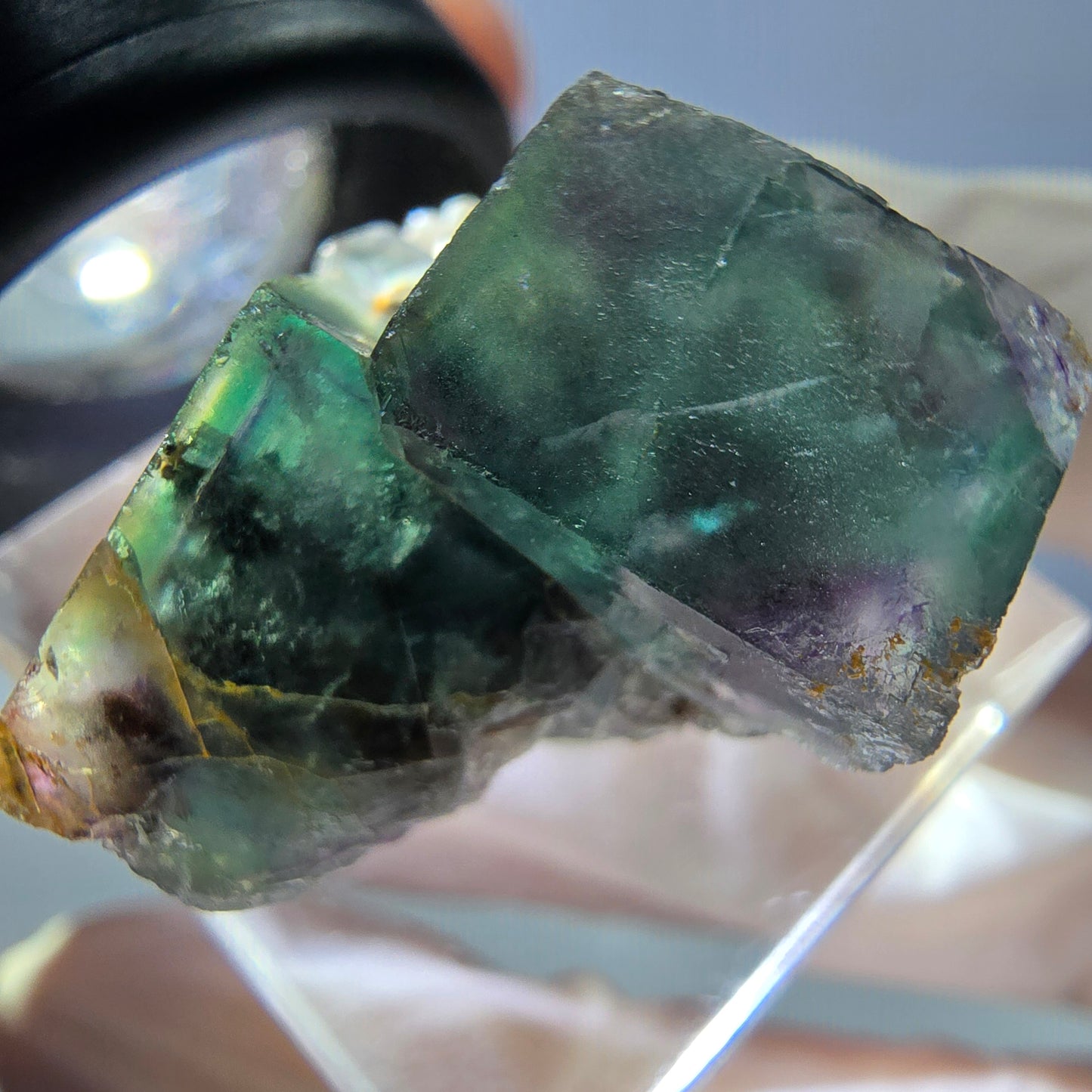 Spécimen de cube de fluorite fantôme, parqueté vert violet Okorusu, Namibie 25*24*16 mm
