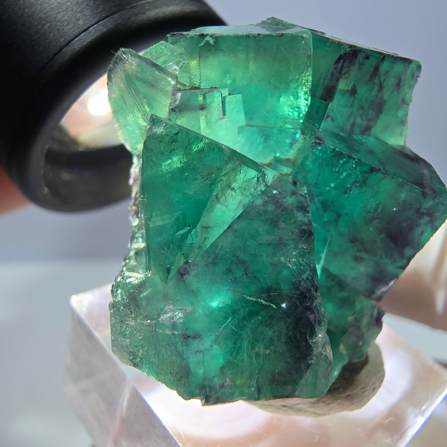 Spécimen de cube de fluorite fantôme, parqueté vert violet Okorusu, Namibie 32 x 30 x 20 mm