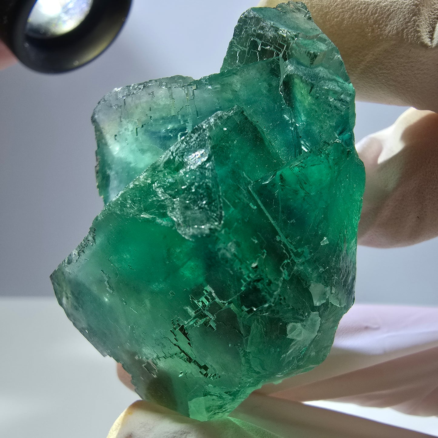 Spécimen de cube de fluorite fantôme transparente, vert parqueté, Okorusu, Namibie, 55 x 41 x 26 mm