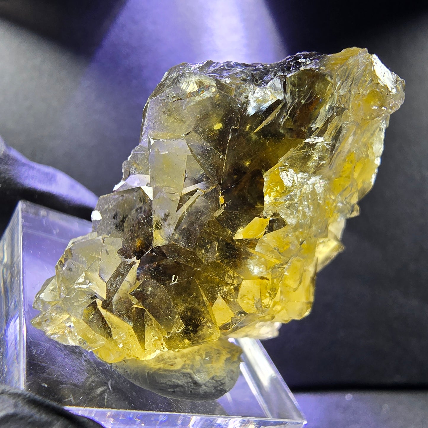 Seltene Honey Pocket Phantom Fluorit XX Würfel Stufe 30*28*14mm Okorusu, Namibia