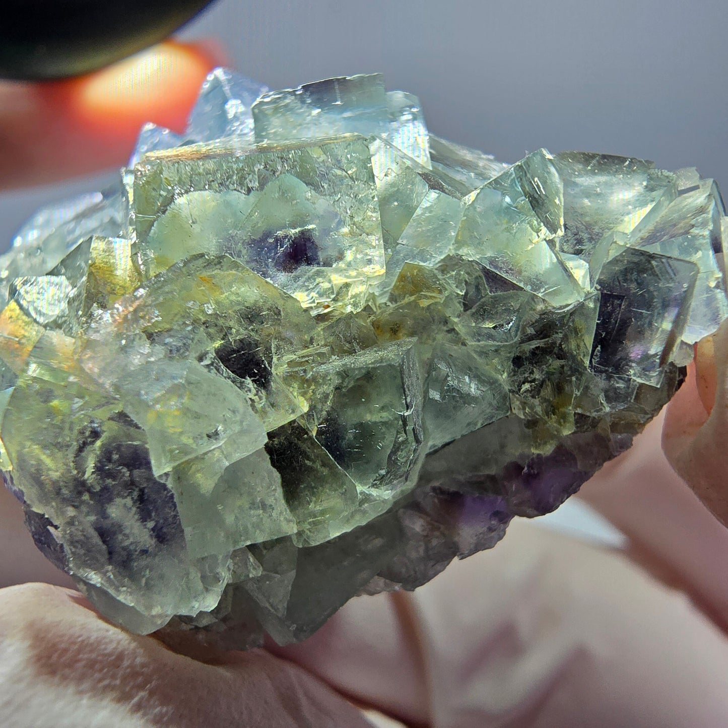 Spécimen de cube de fluorite fantôme transparente, vert-violet, Okorusu, Namibie, 45 x 35 x 19 mm
