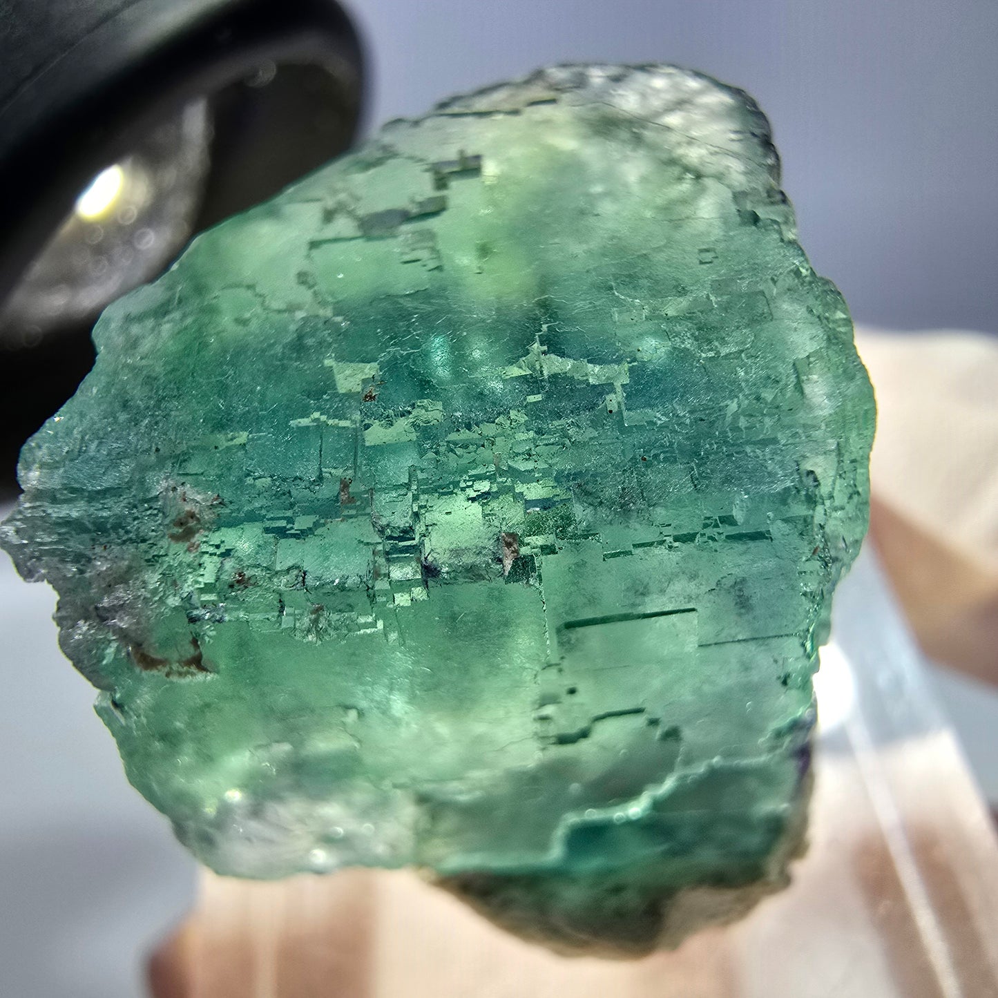 Cube de fluorite fantôme transparente parquetée, vert Okorusu, Namibie 22 x 20 x 18 mm
