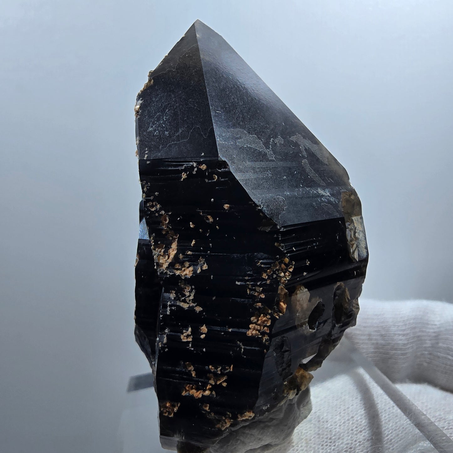 Sceptre de poche en quartz fumé squelette fantôme lémurien, Goboboseb de la Saint-Valentin, Namibie, 66 x 41 x 36 mm