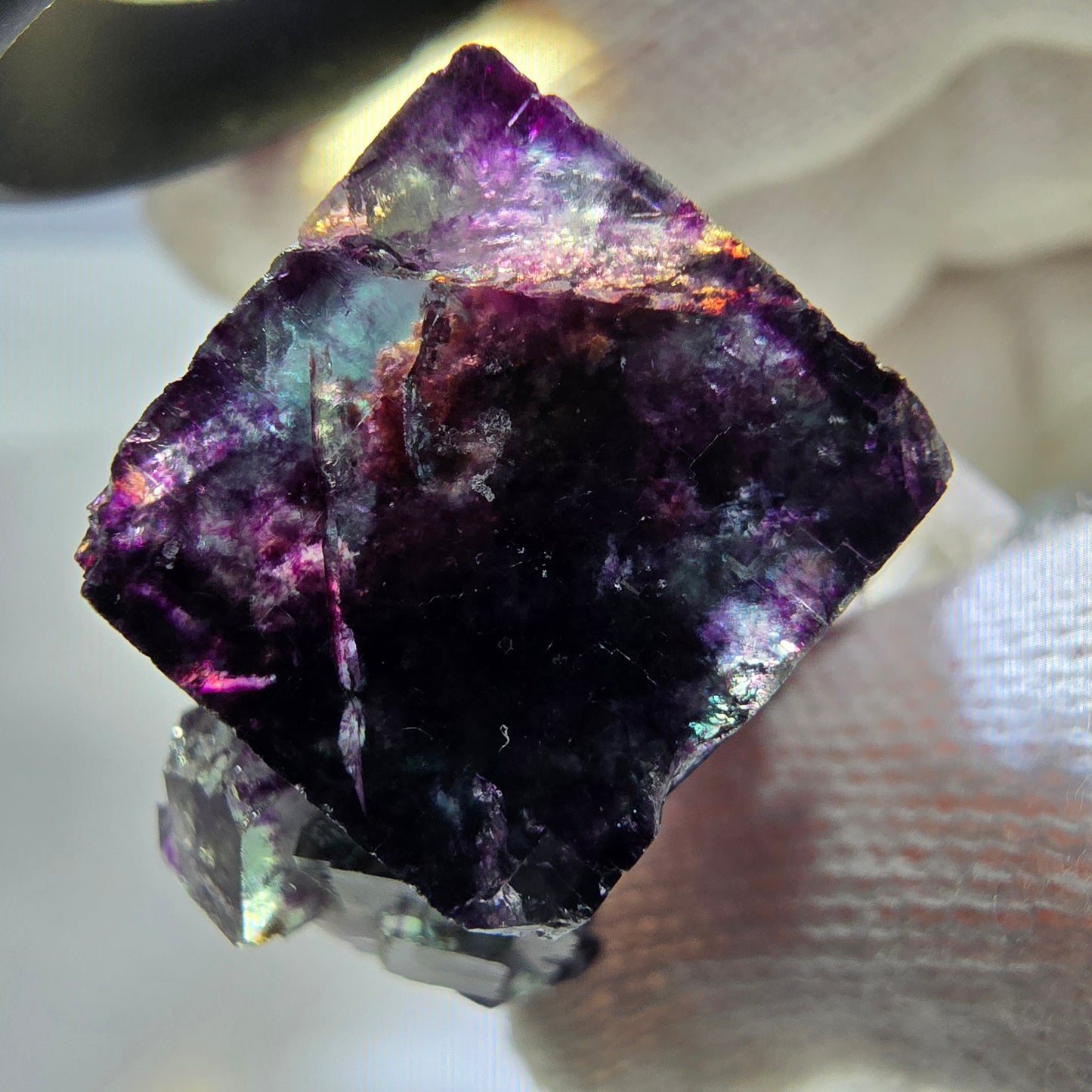 Spécimen rare de cube de fluorite fantôme, vert zonal et violet, Okorusu, Namibie, 32 x 29 x 18 mm