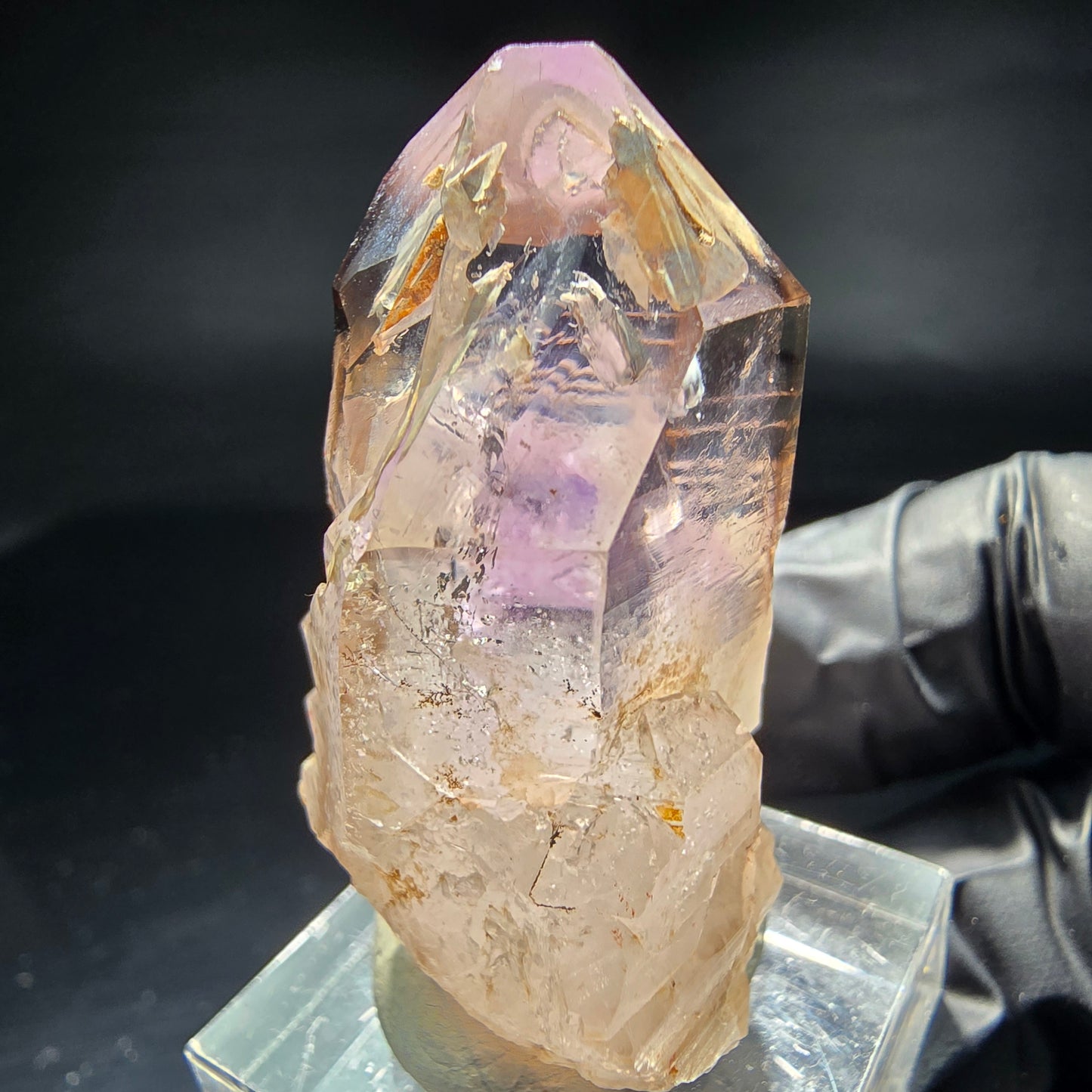 Klare Phantom Amethyst Fenster Zepter Spitze Goboboseb Namibia 40*29*20mm