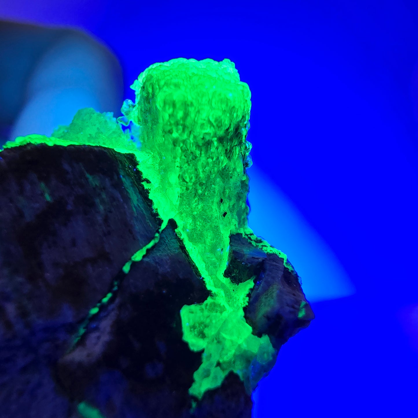 Spécimen rare de tourmaline Schorl et d'opale hyalite, Erongo, Namibie, 43 x 24 x 24 mm