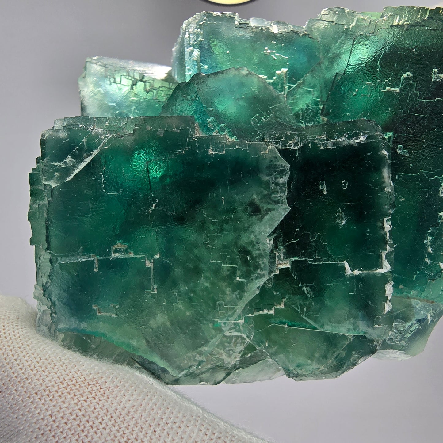 Große Phantom Fluorit Würfel Stufe grün parkettiert Okorusu, Namibia 81*68*35mm