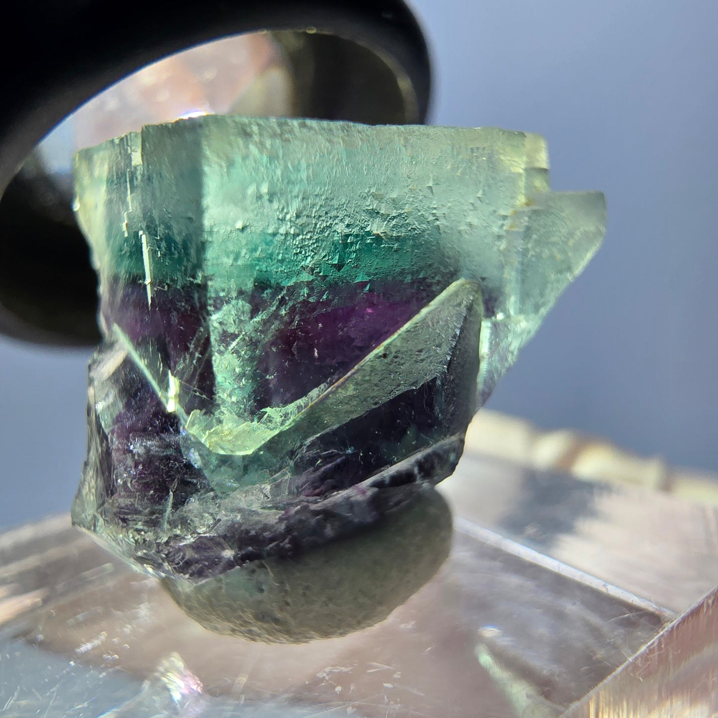 Spécimen de cube de fluorite fantôme, parqueté vert violet Okorusu, Namibie 19 x 18 x 15 mm
