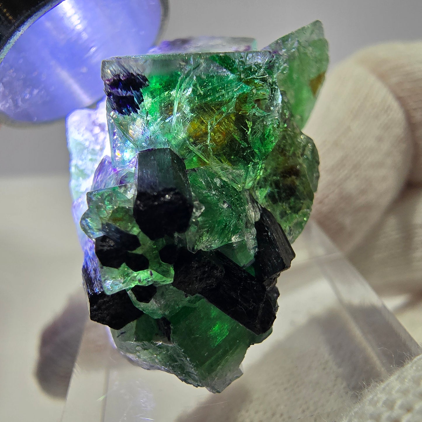 Cube de fluorite fantôme zonal, spécimen de tourmaline Schorl, Erongo, Namibie, 35 x 25 x 22 mm