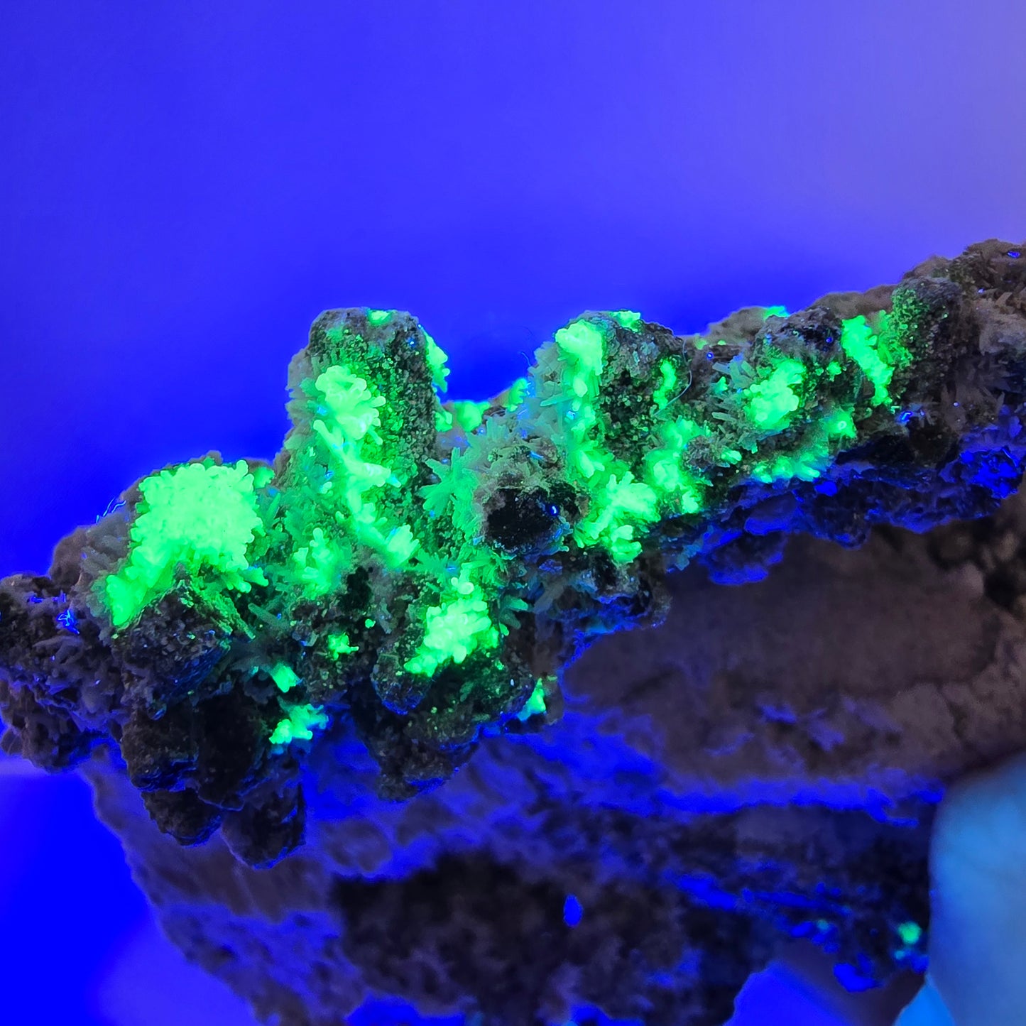 Grand spécimen de fluorite, hyalite, scholle, tourmaline, muscovite, orthose, Erongo, Namibie, 126 x 99 x 78 mm