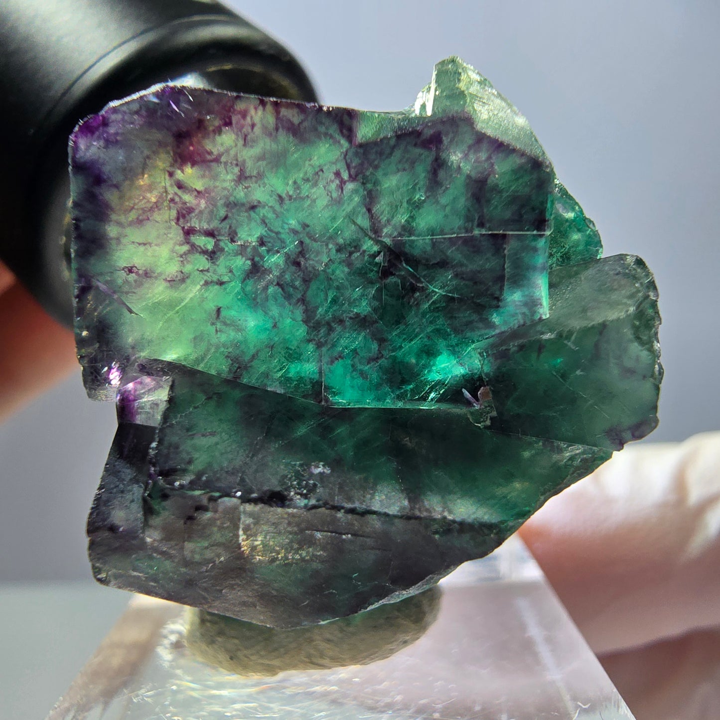 Rare spécimen de cube de fluorite, vert-violet, Okorusu, Namibie, 36 x 26 x 24 mm