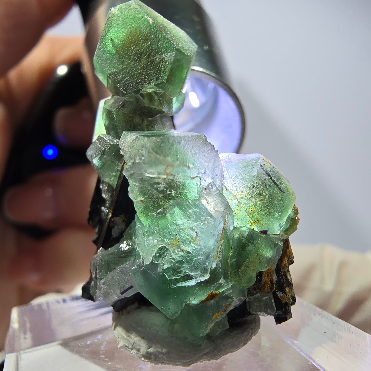Cube hexagonal de fluorite fantôme, muscovite, tourmaline Schörl, Erongo, Namibie, 30 x 23 x 20 mm