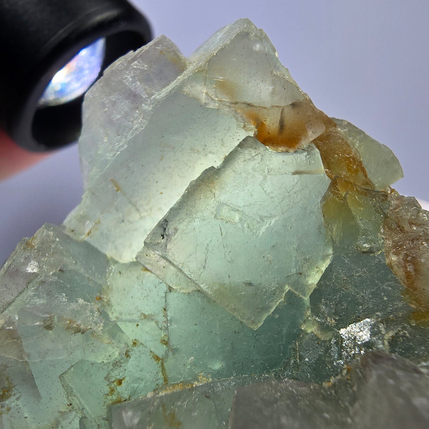 Rare spécimen de cube de fluorite fantôme, vert et blanc, Okorusu, Namibie, 61 x 51 x 34 mm