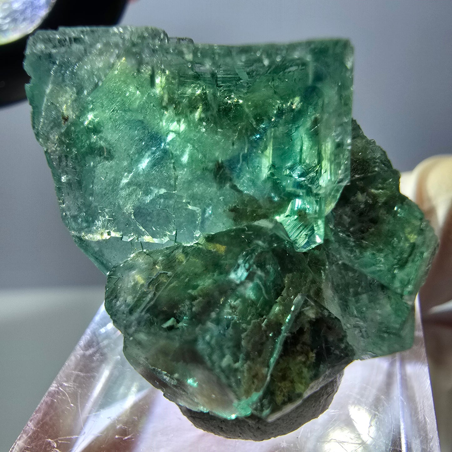 Phantom Fluorit Würfel Stufe, grün parkettiert Okorusu, Namibia 27*24*20mm