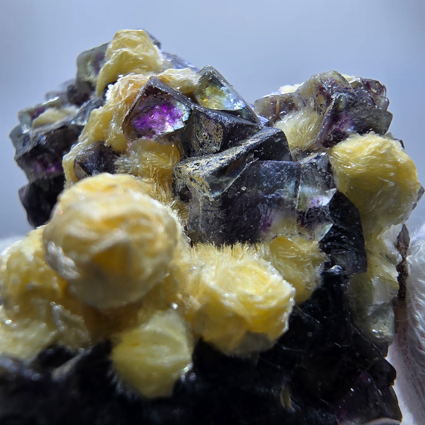 Cubes de fluorite fantôme colorés, hyalite, spécimen de muscovite, Erongo, Namibie, 42 x 39 x 28 mm