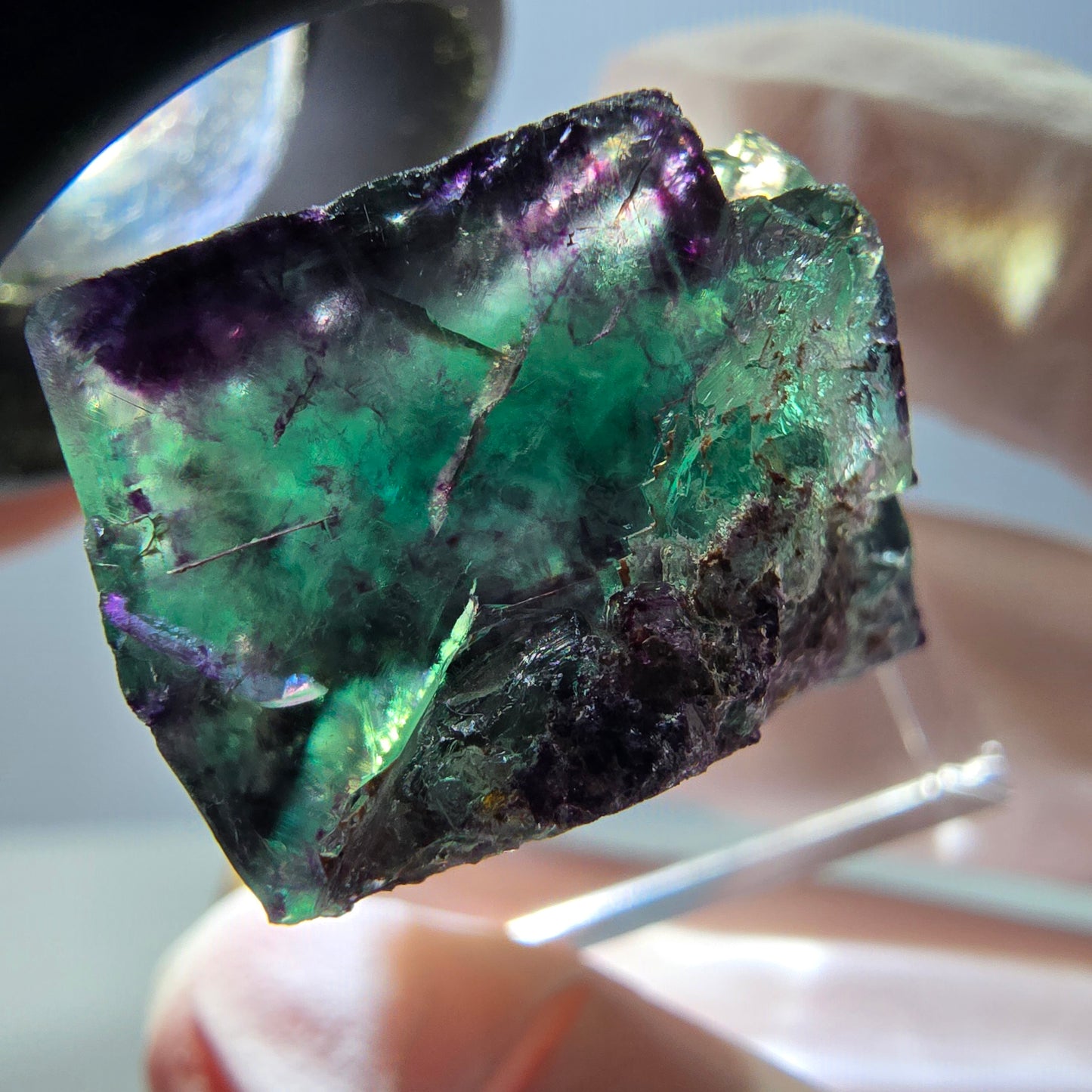 Spécimen de cube de fluorite fantôme, parqueté vert violet Okorusu, Namibie 22*22*18 mm
