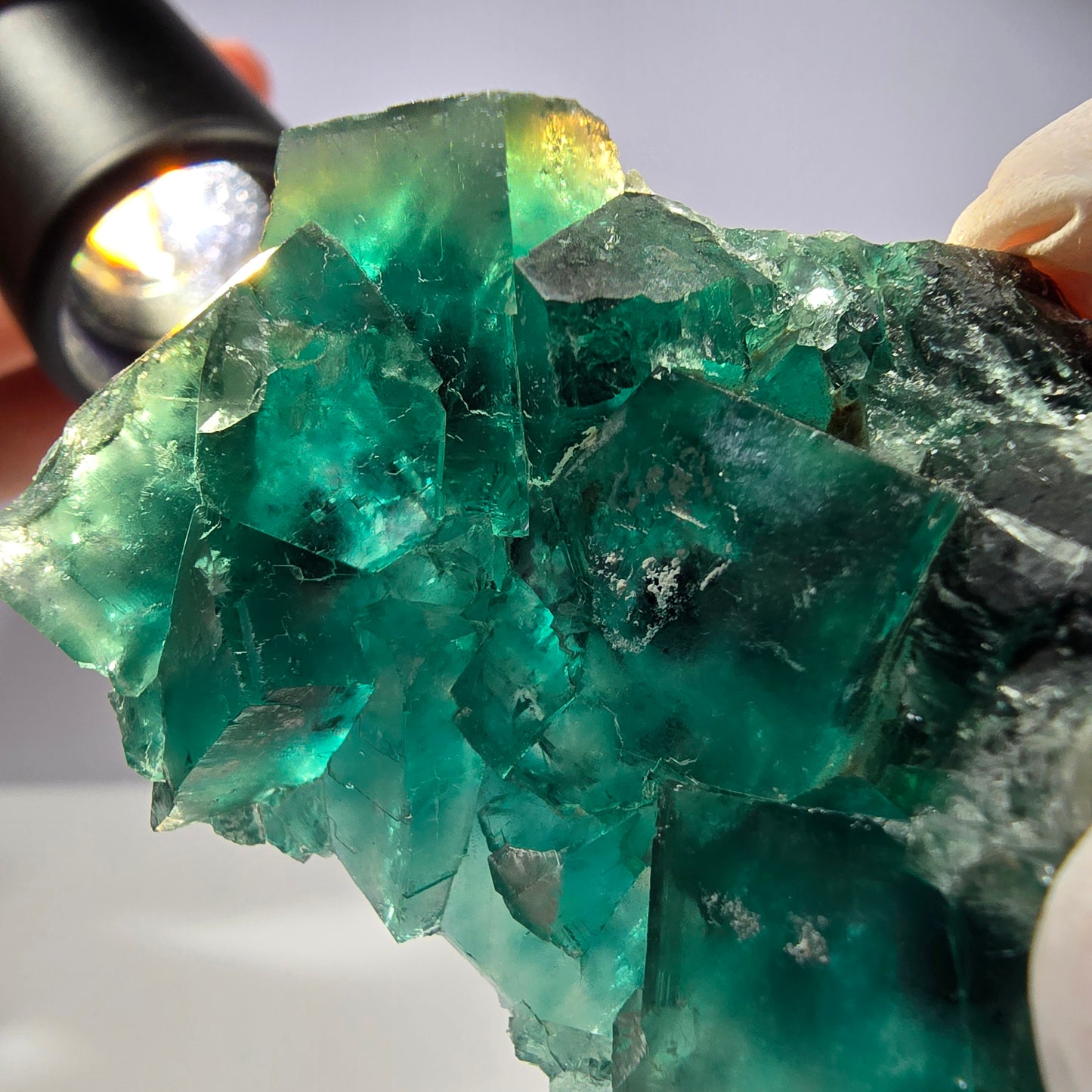 Spécimen de cube de fluorite fantôme transparente, vert parqueté, Okorusu, Namibie, 58 x 45 x 16 mm